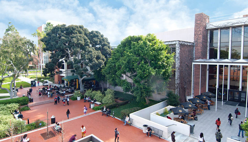 California State University, Long Beach