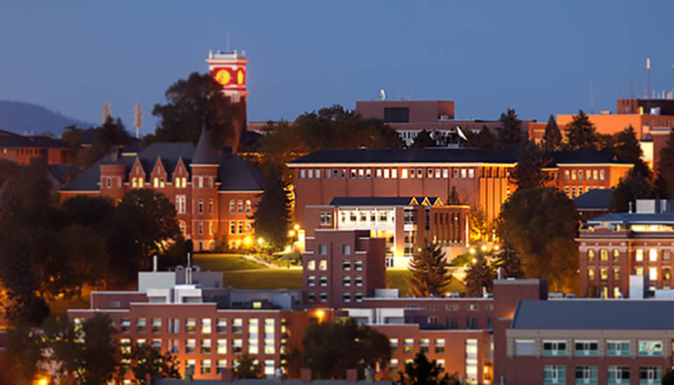 Washington State University
